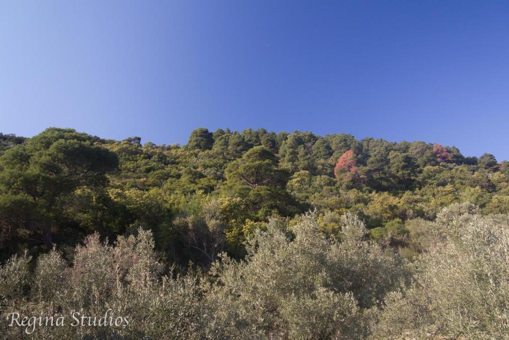Skalopati Studios & Villa Panormos  Exteriér fotografie
